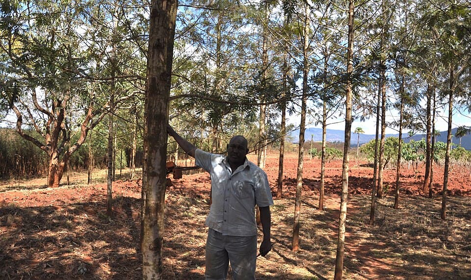 Climate smart agriculture in Machakos county