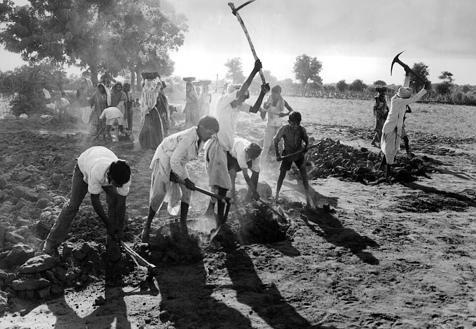 Workers implementing climate adaptation solutions