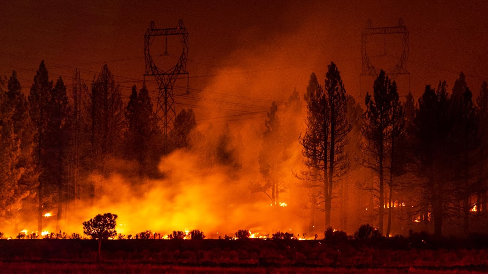 Wildfire and transmission towers